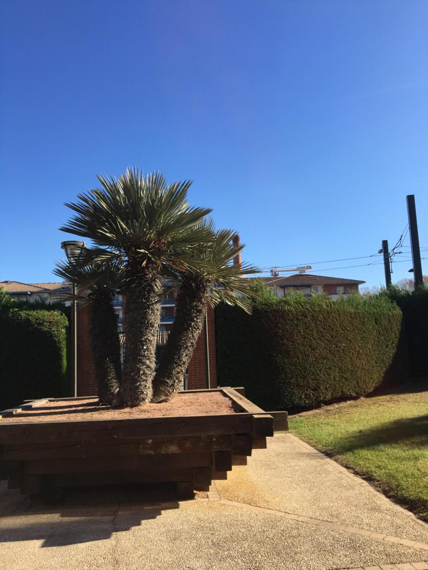 Toulouse Premium Appartement Parking Tramway Wifi Charmant Exterior foto